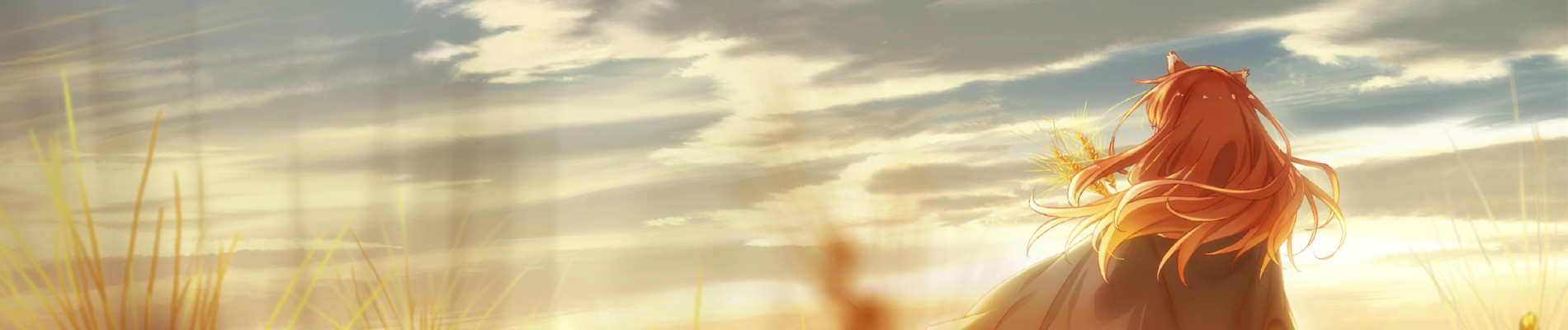 Spice and Wolf